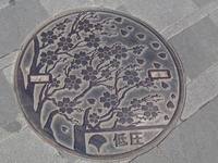 Manhole3