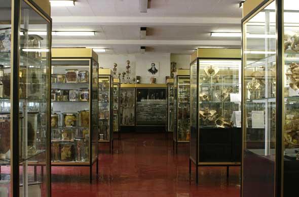 785d515f833fb12cc4ff711d0dbeb546