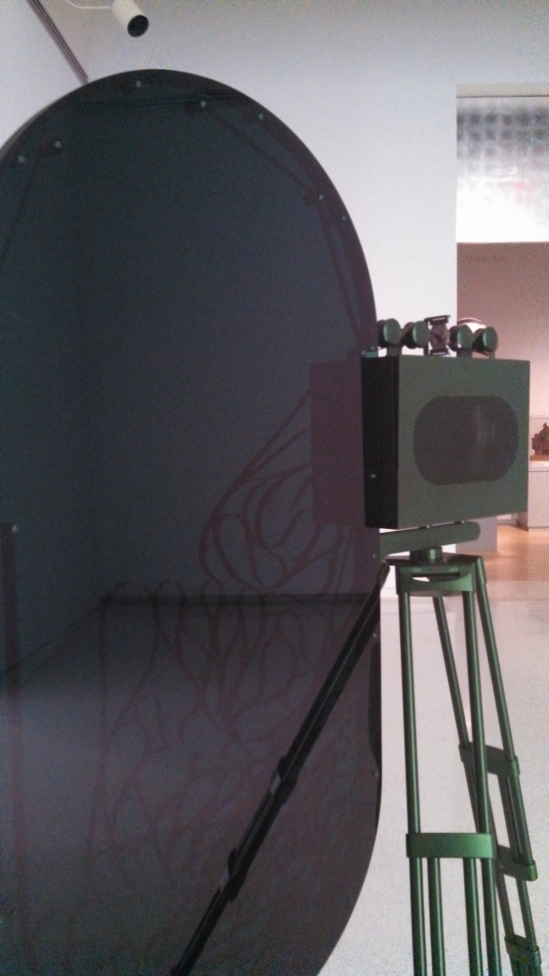 IMG_20131030_114956_995