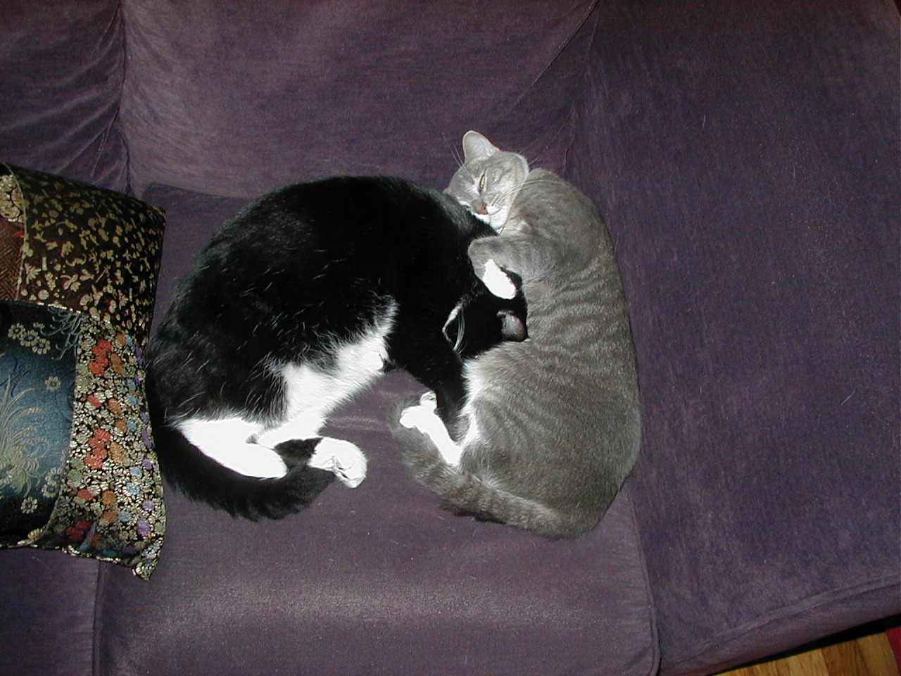 P_M_sleeping3 P_M_sleeping3