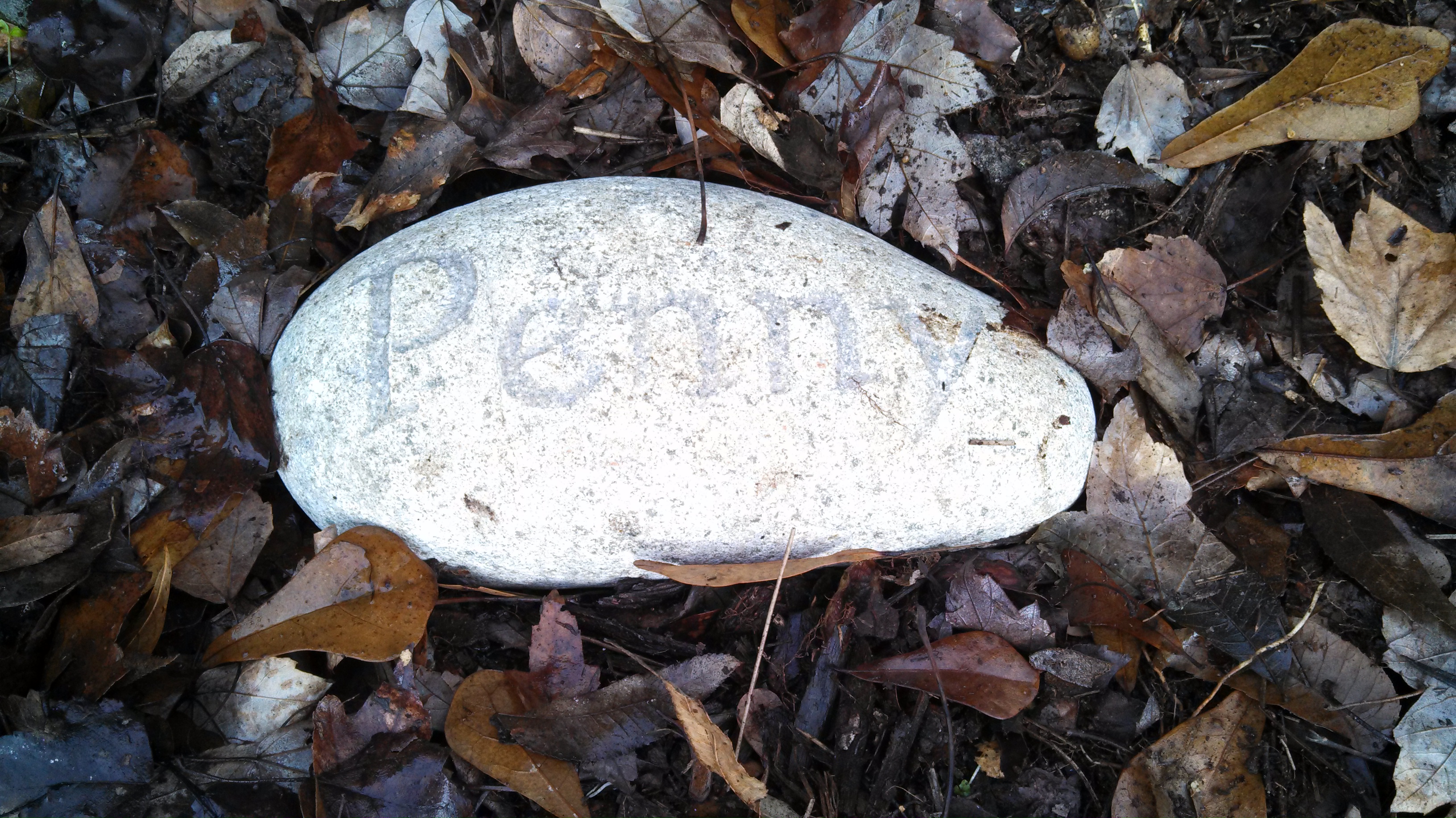 Penny-grave2 Penny-grave2