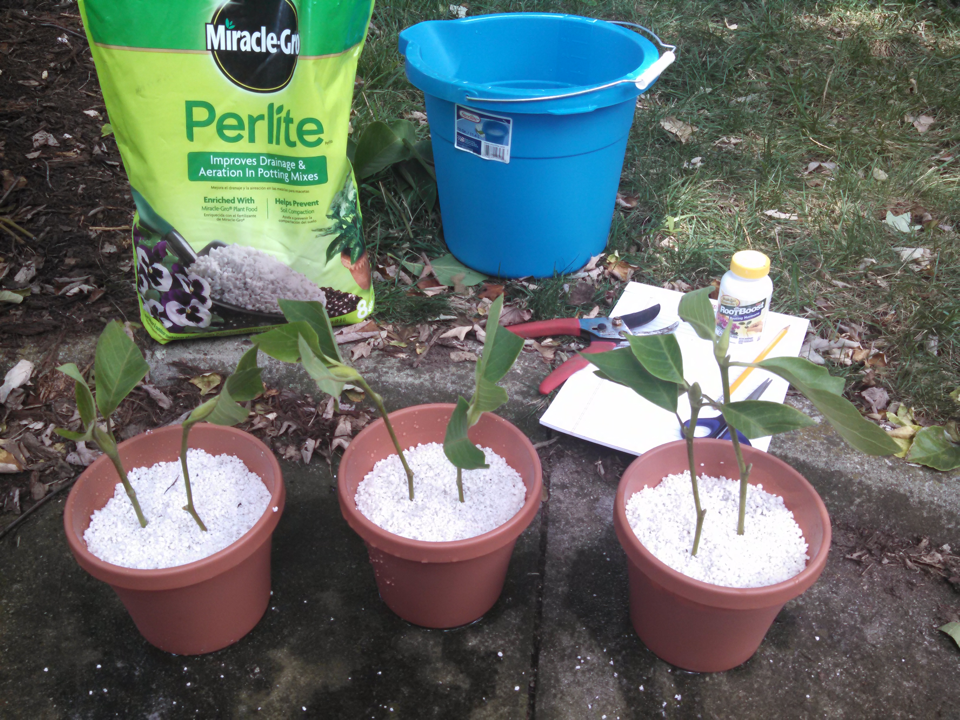 IMG_20140707_153238_096